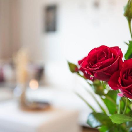 Vasko Luxurious Suites, Hiisi Rovaniemi Esterno foto